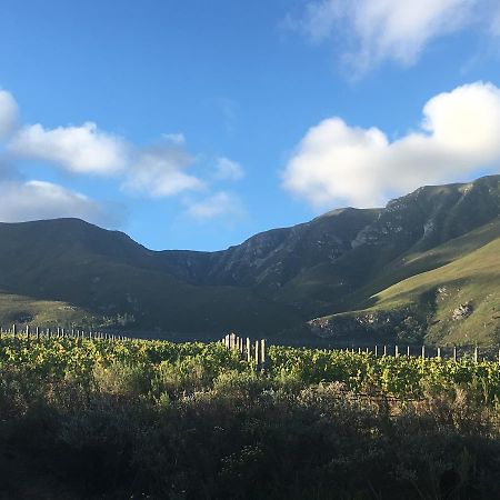 Misty Mountains Villa Hermanus Kültér fotó