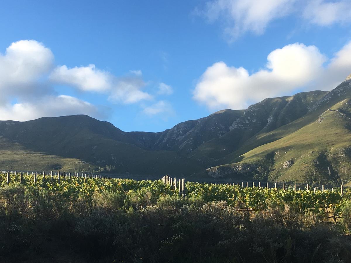 Misty Mountains Villa Hermanus Kültér fotó