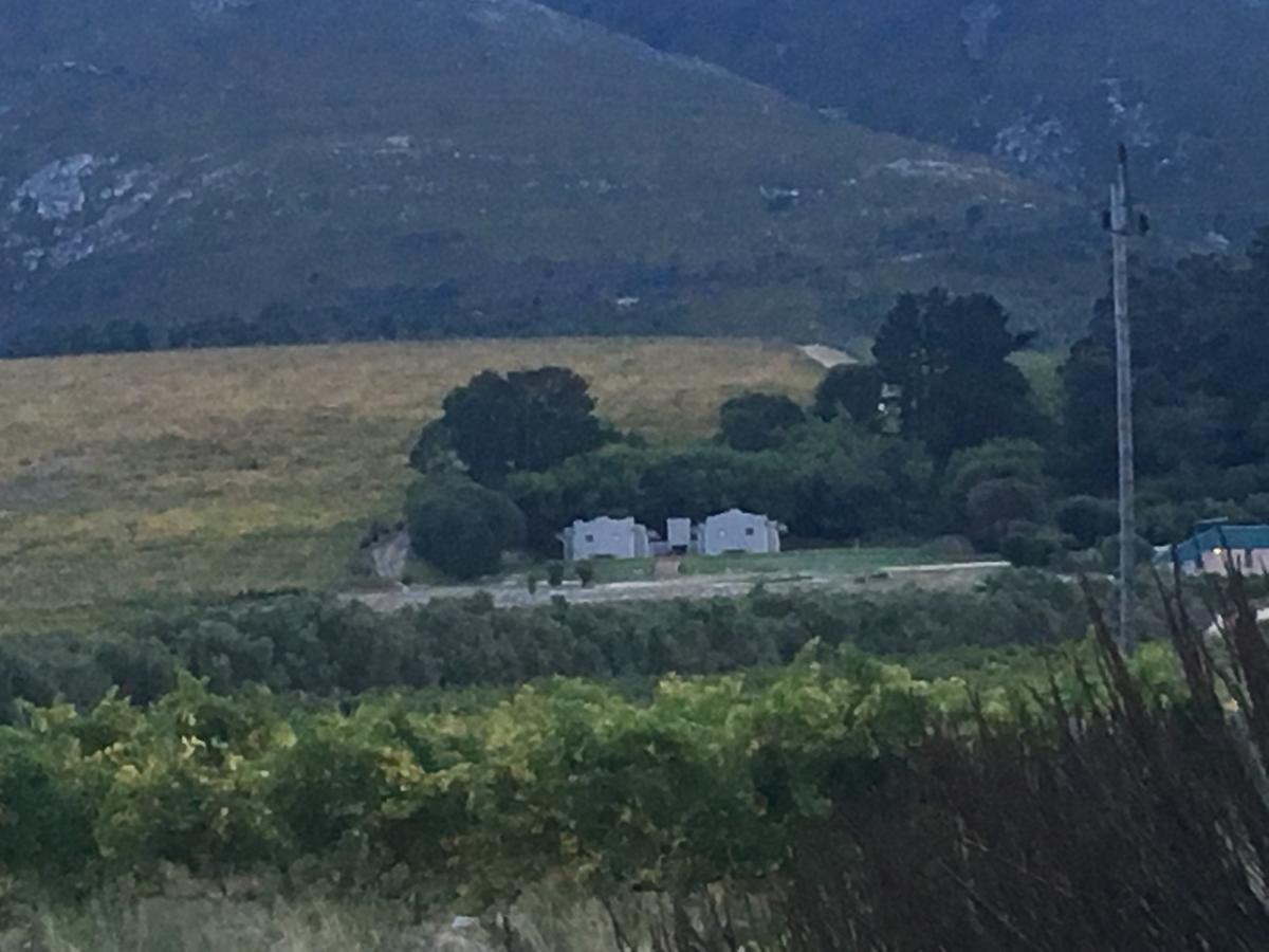 Misty Mountains Villa Hermanus Kültér fotó