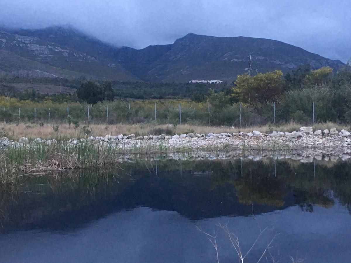Misty Mountains Villa Hermanus Kültér fotó